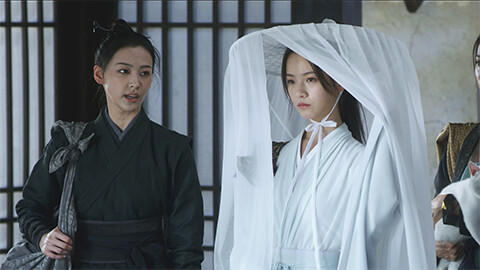 雪中悍刀行～徐鳳年、北椋王への道～ #25