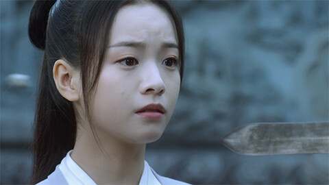 雪中悍刀行～徐鳳年、北椋王への道～ #26