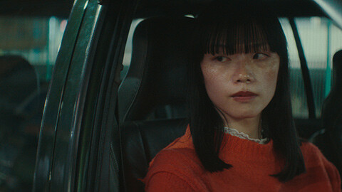 Colors Under the Streetlights