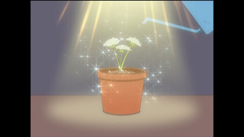 第95話　どき☆どき　さよならシマ子さんの巻/第96話　どき☆どき　ラブラブ？の巻