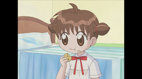 第101話　どき☆どき　扉が消える日!?の巻/第102話　どき☆どき　最終回の巻