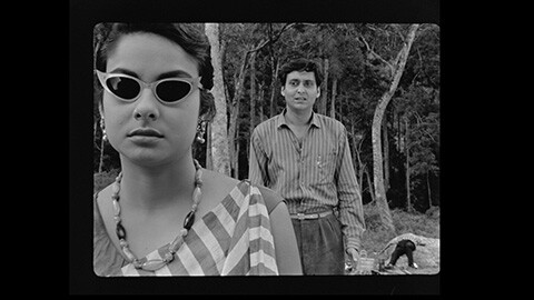 臆病者（字幕）