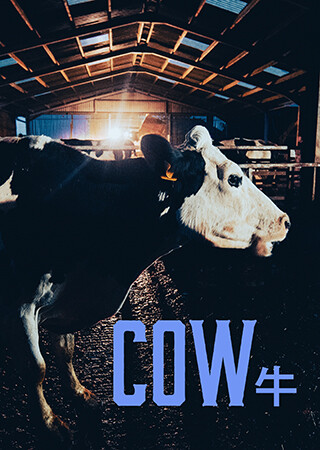 COW／牛