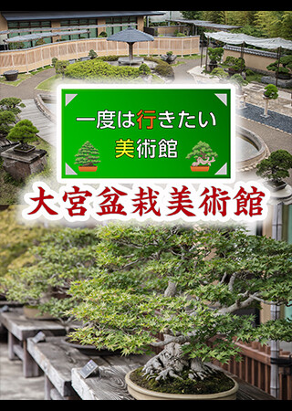 一度は行きたい美術館 大宮盆栽美術館