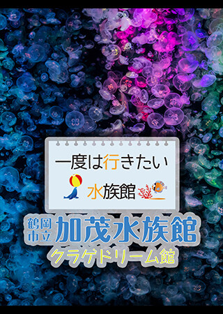 一度は行きたい水族館 鶴岡市立加茂水族館 クラゲドリーム館