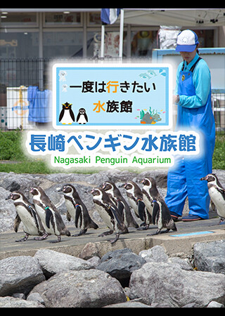 一度は行きたい水族館 長崎ペンギン水族館