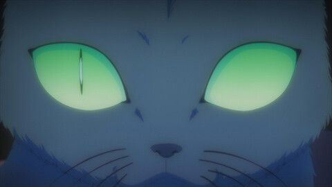 第13話 猫鬼