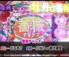 XX第6章 #8ﾊﾟﾁﾏｶﾞMEGA WARS./ヱｳﾞｧﾝｹﾞﾘｦﾝ7/牡丹と薔薇