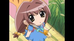 第46話　ぷちこ、幸せを探すにゅ